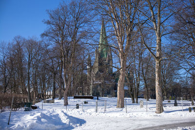 Trees on snow covered landscape