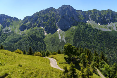 Scenic view of trees and mountains against sky