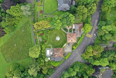 High angle view of trees