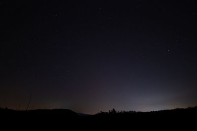 Silhouette trees against sky at night