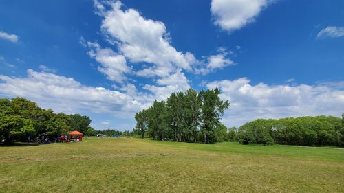 Trees on field against sky