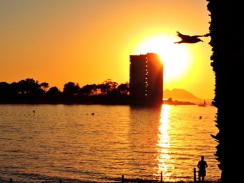 Silhouette bird flying over sea against sky during sunset