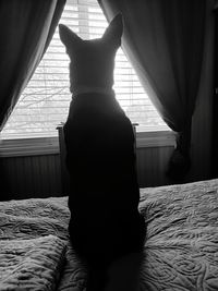 Cat lying on bed at home