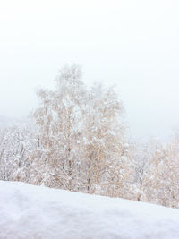 Snow covered land by trees against sky