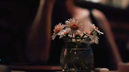 Close-up of vase on table