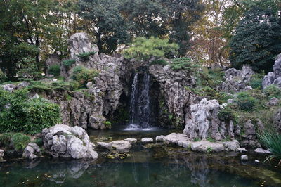 Scenic view of waterfall in forest