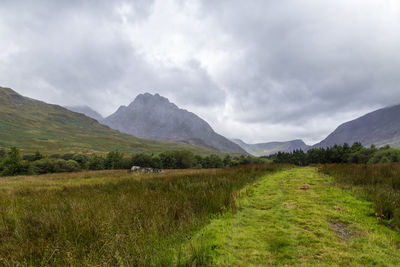 Scenic view of landscape against sky