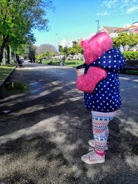 Rear view of a girl on road