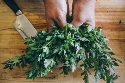 Cropped hand of person holding cilantro on table