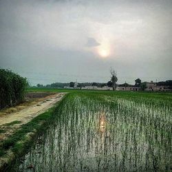 Scenic view of field against cloudy sky