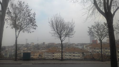 Bare trees against sky in city