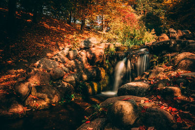 Waterfall in forest during autumn