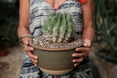 Midsection of person holding potted plant