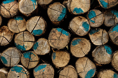 Full frame shot of logs in forest