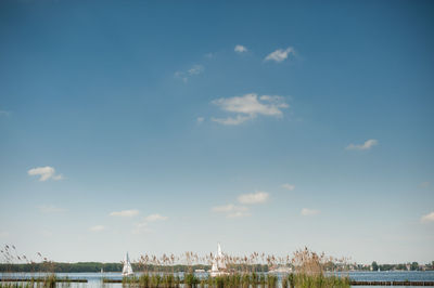 View of buildings against cloudy sky