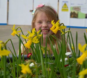 Close-up of daffodils in front of cheerful girl