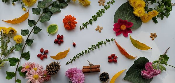 High angle view of flowering plants on table