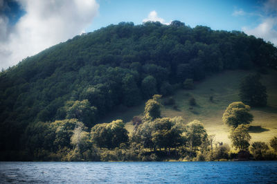 Scenic view of river in forest against sky