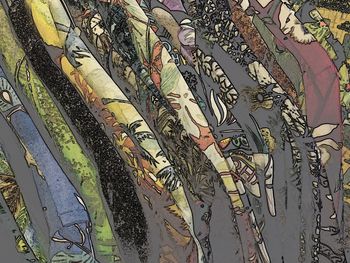 Full frame shot of leaves