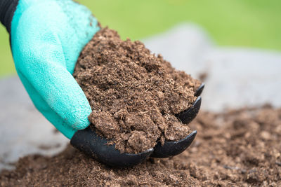 soil