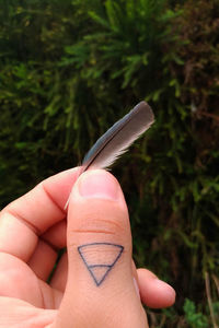 Close-up of hand holding leaf against blurred background