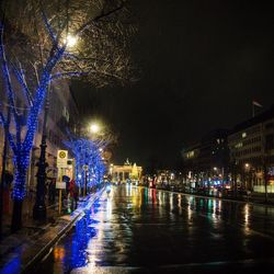 Illuminated street lights by trees in city at night