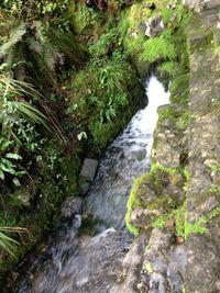 Stream flowing through rocks