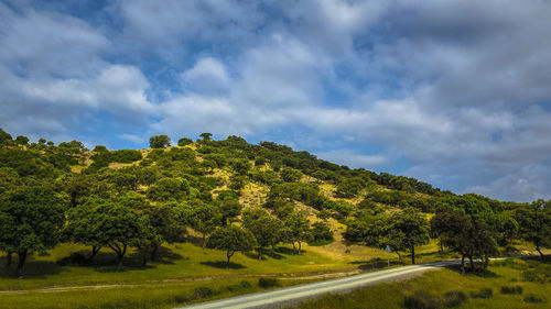 Road amidst green landscape against sky