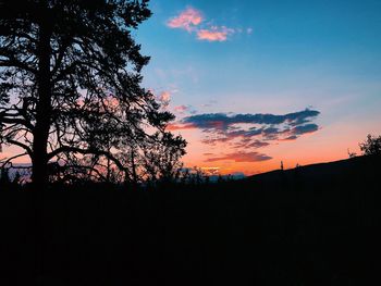 Silhouette trees against sky during sunset