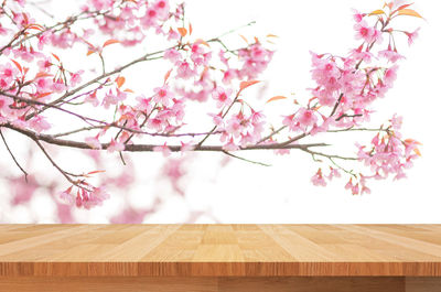 Pink flowering tree over wooden table