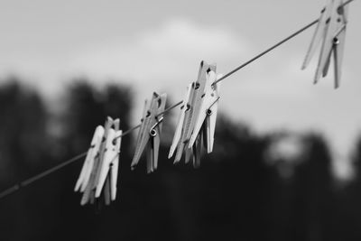 Close-up of clothespins hanging on clothesline
