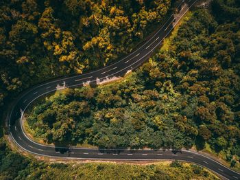 High angle view of road amidst trees during autumn