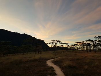 Scenic view of field against sky during sunset