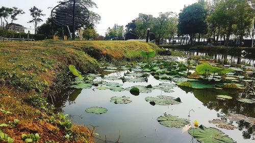 Scenic view of lake against sky