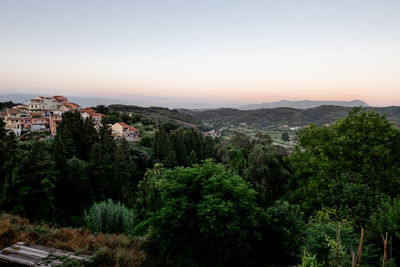 Trees and townscape against sky during sunset