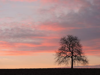 Silhouette tree on field against romantic sky at sunset