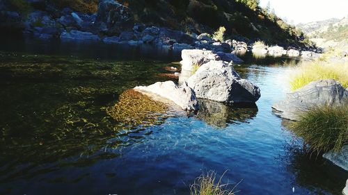 Scenic view of rock in water