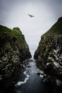 Low angle view of airplane flying over rocks