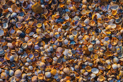 Full frame shot of stones