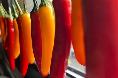 Close-up of bell pepper