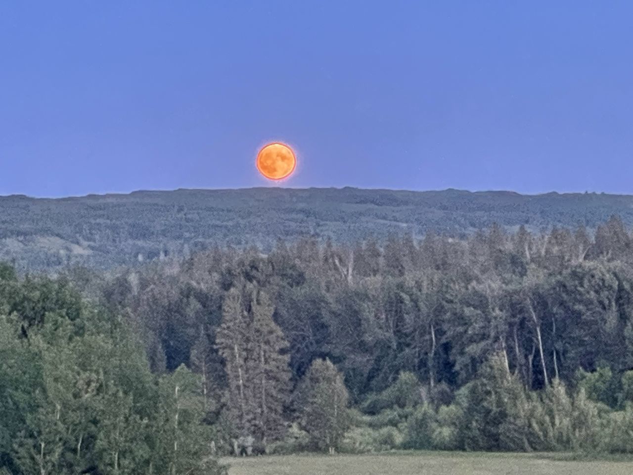 sky, plant, scenics - nature, tree, nature, landscape, environment, moon, land, beauty in nature, no people, mountain, tranquil scene, tranquility, full moon, non-urban scene, natural environment, blue, outdoors, clear sky, wilderness, balloon, hot air balloon, day, travel destinations, forest, travel