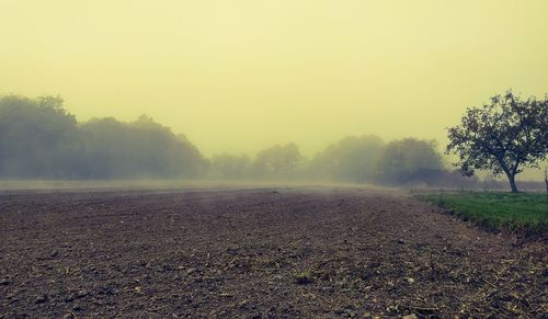 Scenic view of field against sky during foggy weather