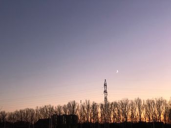 Silhouette trees on field against sky at sunset