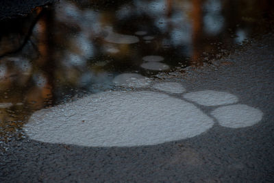 High angle view of ice floating on wet land