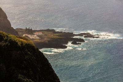 High angle view of sea and trees