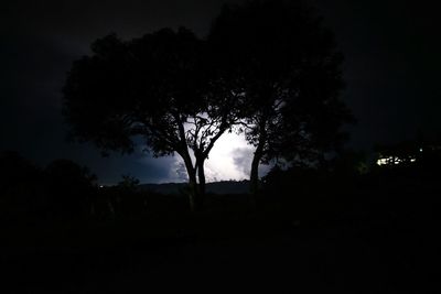 Silhouette trees on landscape against sky at night