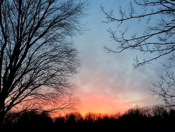 Low angle view of silhouette trees against sky