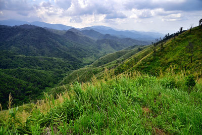 Scenic view of landscape against sky