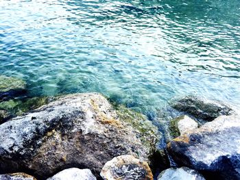 High angle view of rocks in sea