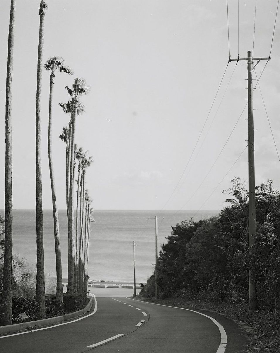 road, the way forward, transportation, clear sky, diminishing perspective, electricity pylon, power line, vanishing point, road marking, tranquility, connection, tree, tranquil scene, empty, street, empty road, sea, street light, sky, country road